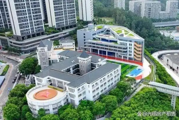 以及深大附中高中部,北师大南山附校高中新校区(建设中)等,并且项目