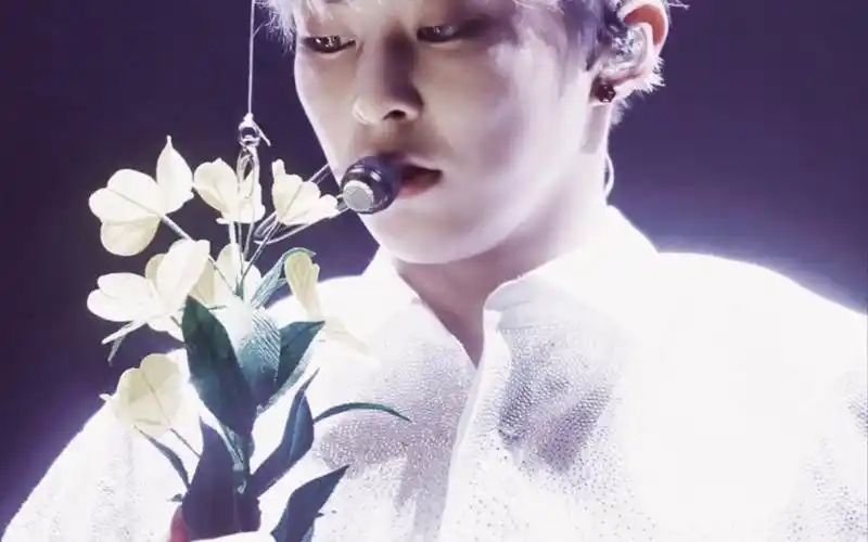 【exo】【金珉锡】是《蝴蝶少女》,也是永远的蝴蝶少年