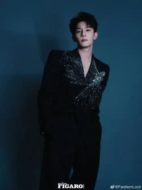 夏之光费加罗赛博化蝶封面