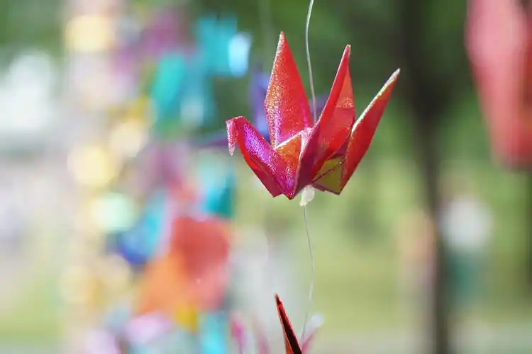 千纸鹤(学通社记者 郎一阳 摄)