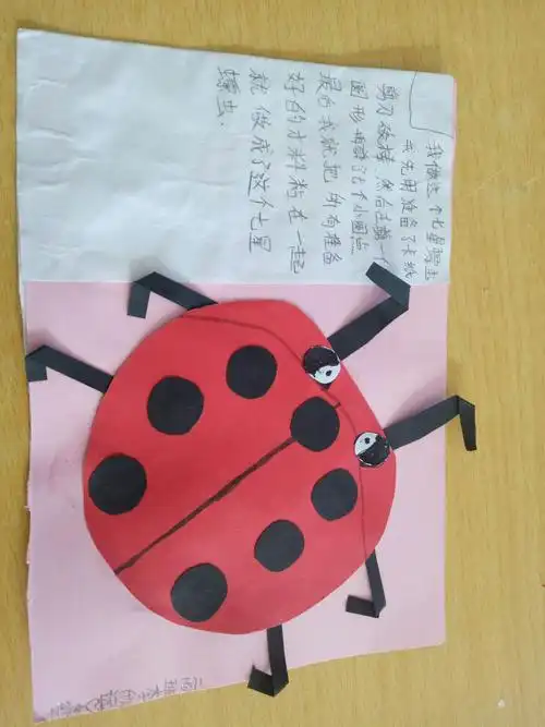 杜庄一小二年级7班创新作业《做手工》