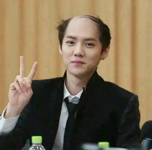 谁能hold住地中海造型?鹿晗不如光头,王凯无压力