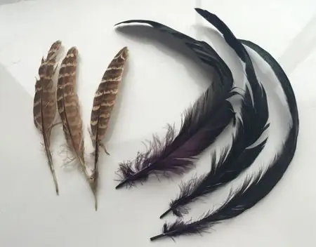 有人知道这些鸡毛是什么品种的鸡的毛吗