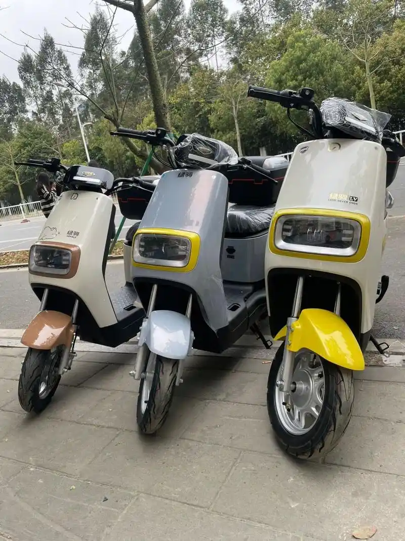 绿驹电动车 绿驹佳捷-远征版搭载60v20a天能a6石墨烯电池91前碟后鼓