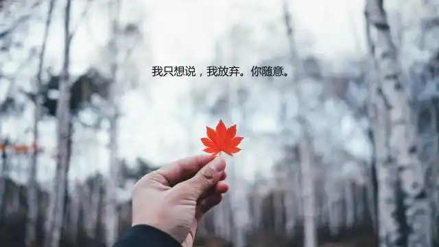 想放弃女朋友的说说