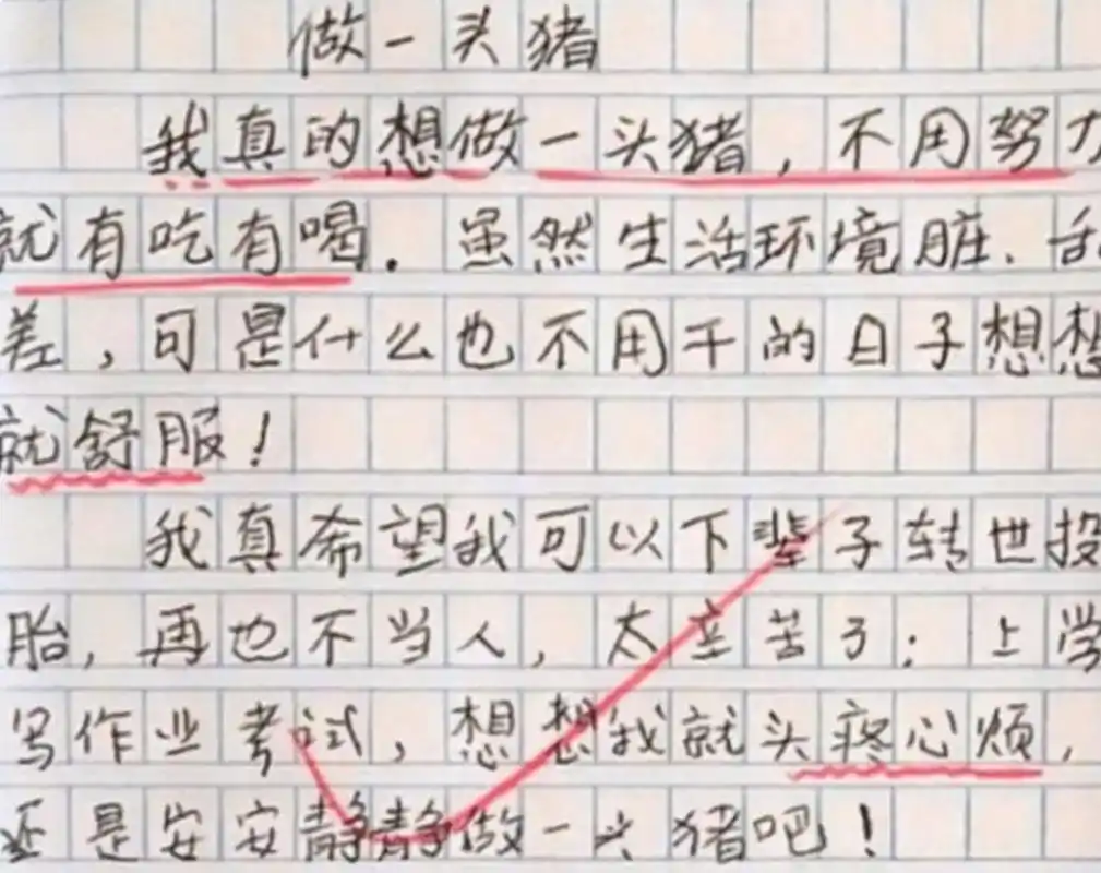 做一头猪小学生搞笑作文有点意思网友看后哄堂大笑