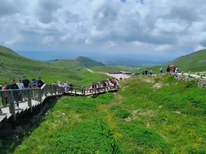 长白山西景区高山花园,限定的"花系"夏天!