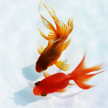 400_400gif 动态图 动图