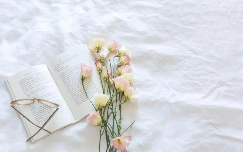 更新时间:2018-08-14 颜色分 黄色 关键词:  书籍 阅读 复古 文艺