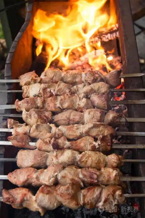 烤猪肉串肉是烧烤火炒的在煤上煮肉
