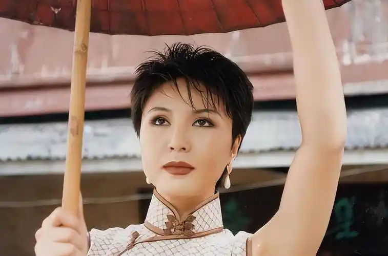 歌手林萍:曾红过毛阿敏,最红时连续七次登上春晚,如今无人问津_工作