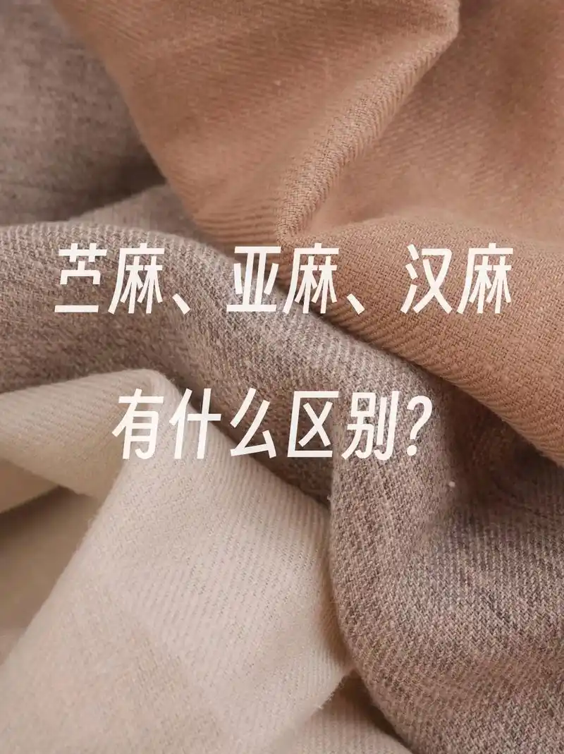 苎麻,汉麻,亚麻有什么区别呢?#服装实体店 #服装面料 # - 抖音