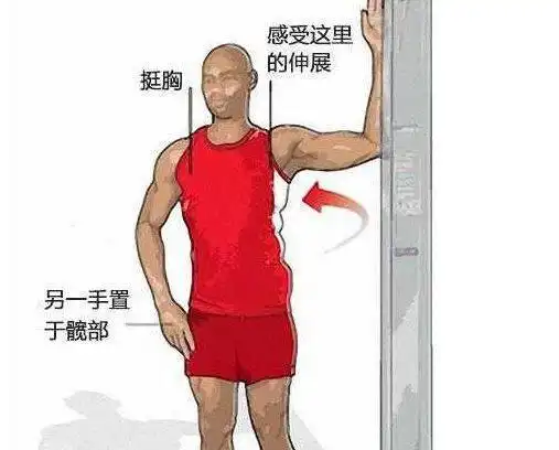 胸大肌和胸小肌的拉伸方法:找一个门框,站立于门框下方,身体保持正直