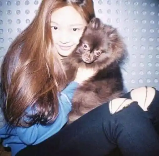 jennie出道前旧照多图