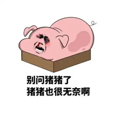 金馆长猪猪系列搞笑表情包 你到底爱不爱猪猪嘛