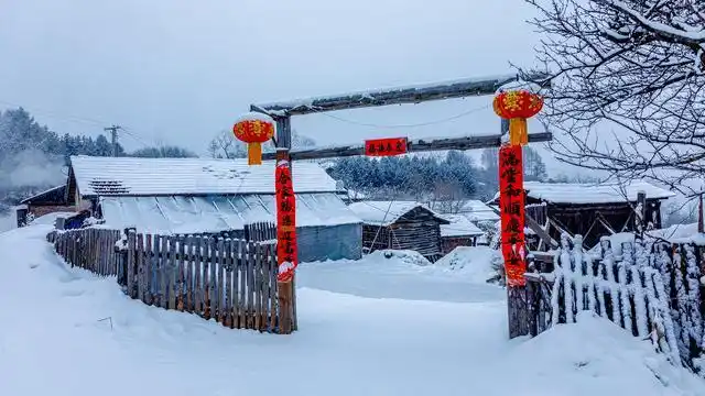 生活的美点和希望,千里冰封万里雪飘似乎是对于东北的大雪最好的解释