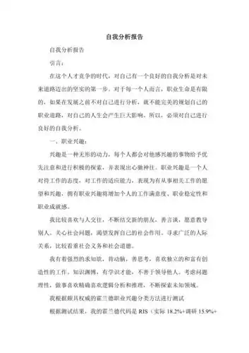 自我分析报告