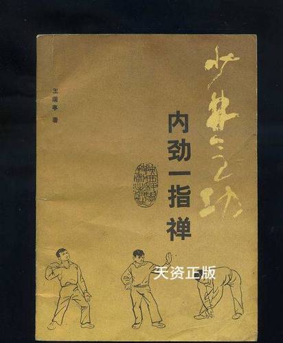 【二手9成新】少林气功内劲一指禅 王瑞亭著 陕西科学技术出版社