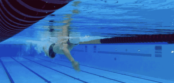 自由泳教学导案7