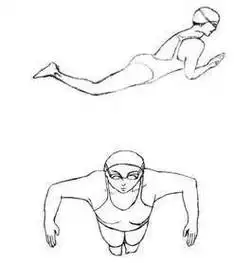 蛙泳技巧详解