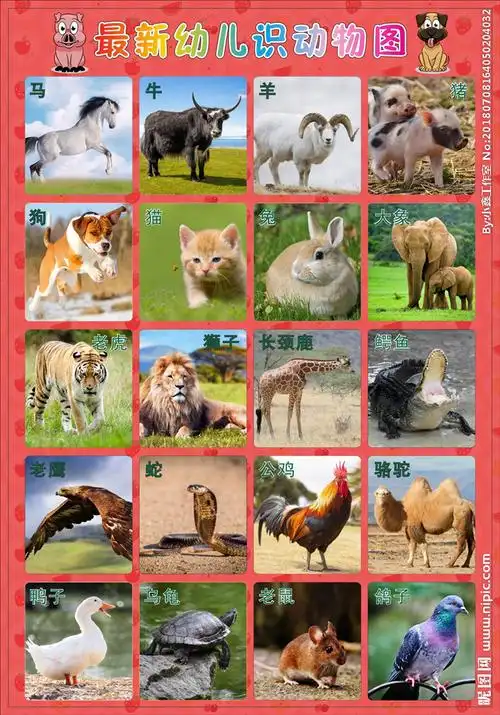最新幼儿识动物图图片