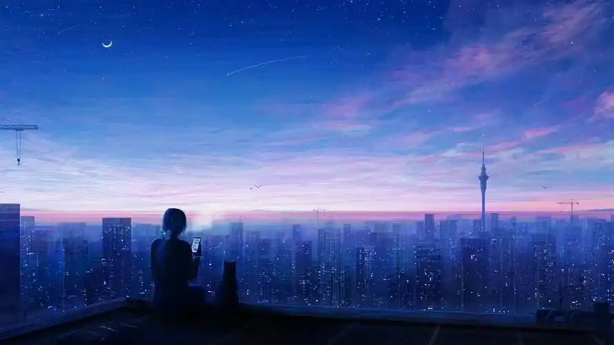 城市 夜晚 星空 女孩 手机 猫 唯美动漫风景2k壁纸高清大图预览1920x