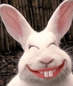 [原创]小豆豆来啦,进来支持的都是仙女加帅哥哦