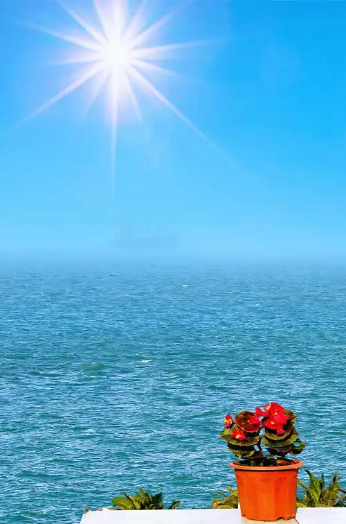 面朝大海 春暖花开 #阳光明媚 #大海鲜花 #海上轮船 #诗和远方 - 游记