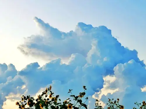夏天的云朵手机随手拍