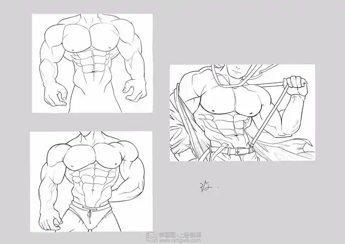 作业:如何学画手绘动漫人物之男性肌肉画法与训练技巧 - 云清歌
