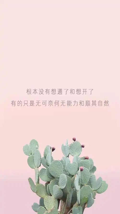 小清新创意文字图片手机壁纸