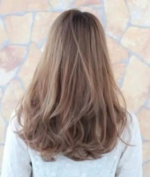 中长发直发发型图片女背影(女生中长发直发型背影图片大全)-天晟网