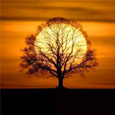 100张最好看的风景头像 高清漂亮又好看的美景头像图片_风景头像_头像