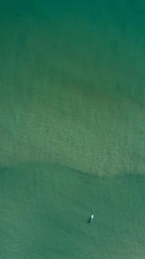 简单的深绿色背景