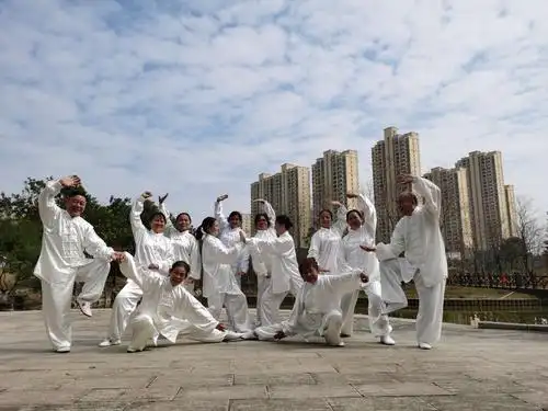 太极拳相片