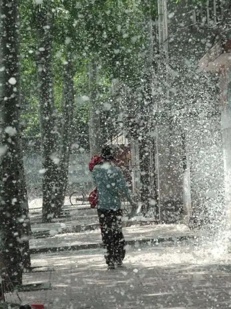 春天,是万物复苏,生机勃勃的季节,也是柳絮飘飞的时节.