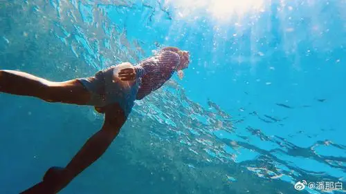 遨游在夏天做这片海最靓的仔美娜多是这个世界上最适合潜水的地方之