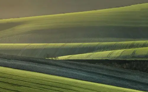 田园风光,田园,一望无际,广阔,阳光,草,风景,阳光正好田园风光壁纸