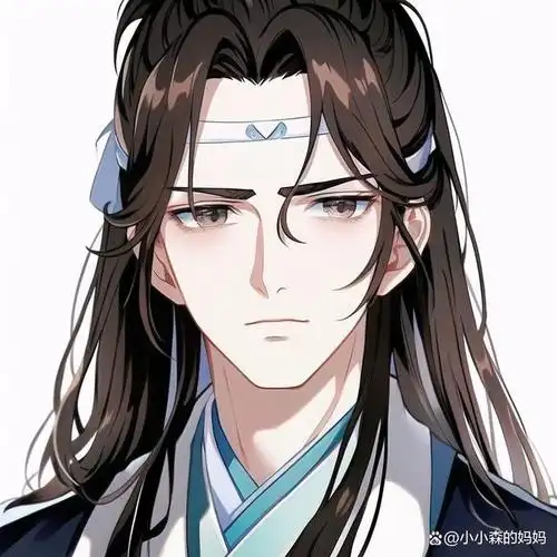 魔道祖师,魏无羡蓝忘机头像