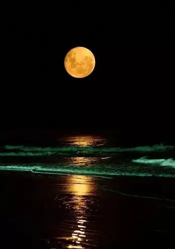 刚出炉的世界上最美的月亮美到窒息