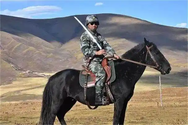 这就是我的战友——战马!