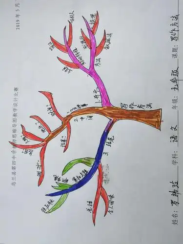 共同学习思维导图,促进教学质量提升