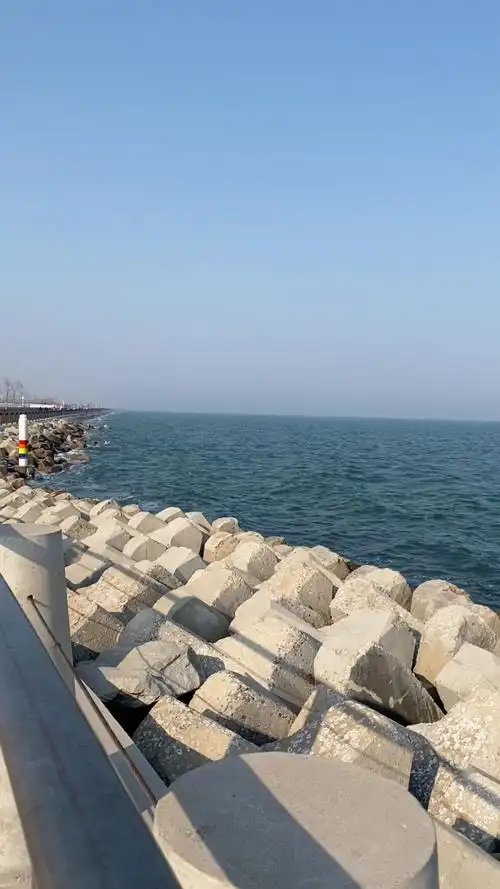 东堤公园——天津唯一被海环绕的公园,3千米海岸线看海,想看大海何必