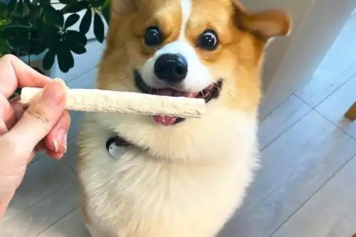 每日一笑:小时候做过什么沙雕事?网友经历太逗了