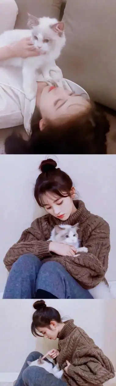 鞠婧祎和她的猫咪