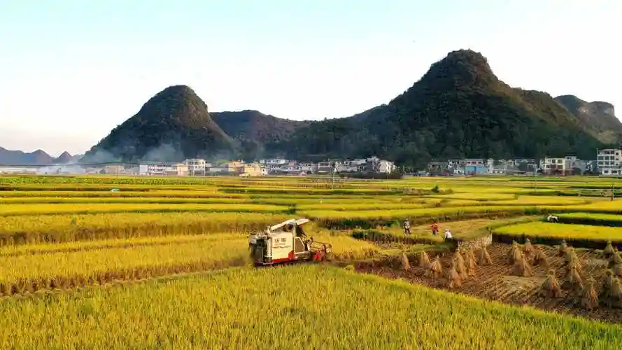 济南痛风患者能吃榛子吗