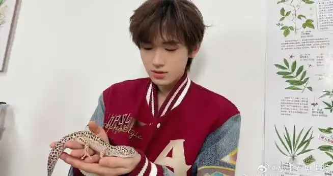 贺峻霖镜头下的宋亚轩##贺峻霖给宋亚轩拍的照片