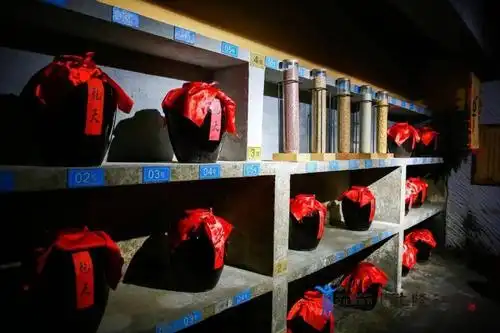 乾隆江南61品鉴学堂白酒酒窖的神秘力量