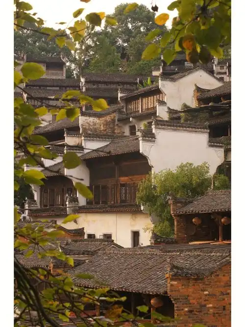 江西婺源·篁岭