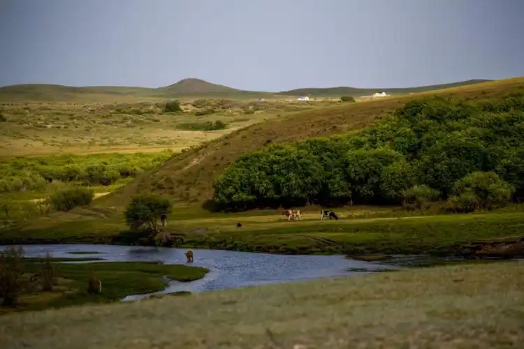 摄影 呼伦贝尔的云水柔情 写美篇呼伦贝尔草场主要有六大类:山地草甸